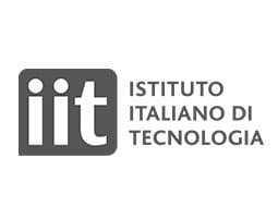 IIT